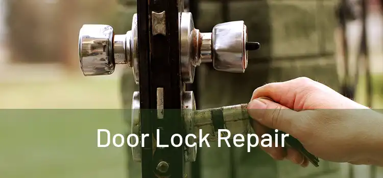  Door Lock Repair 